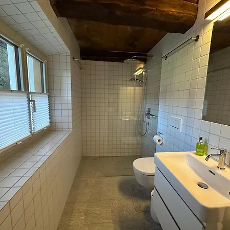 Chesa Unica - Historica Apartment